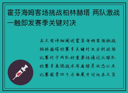 霍芬海姆客场挑战柏林赫塔 两队激战一触即发赛季关键对决